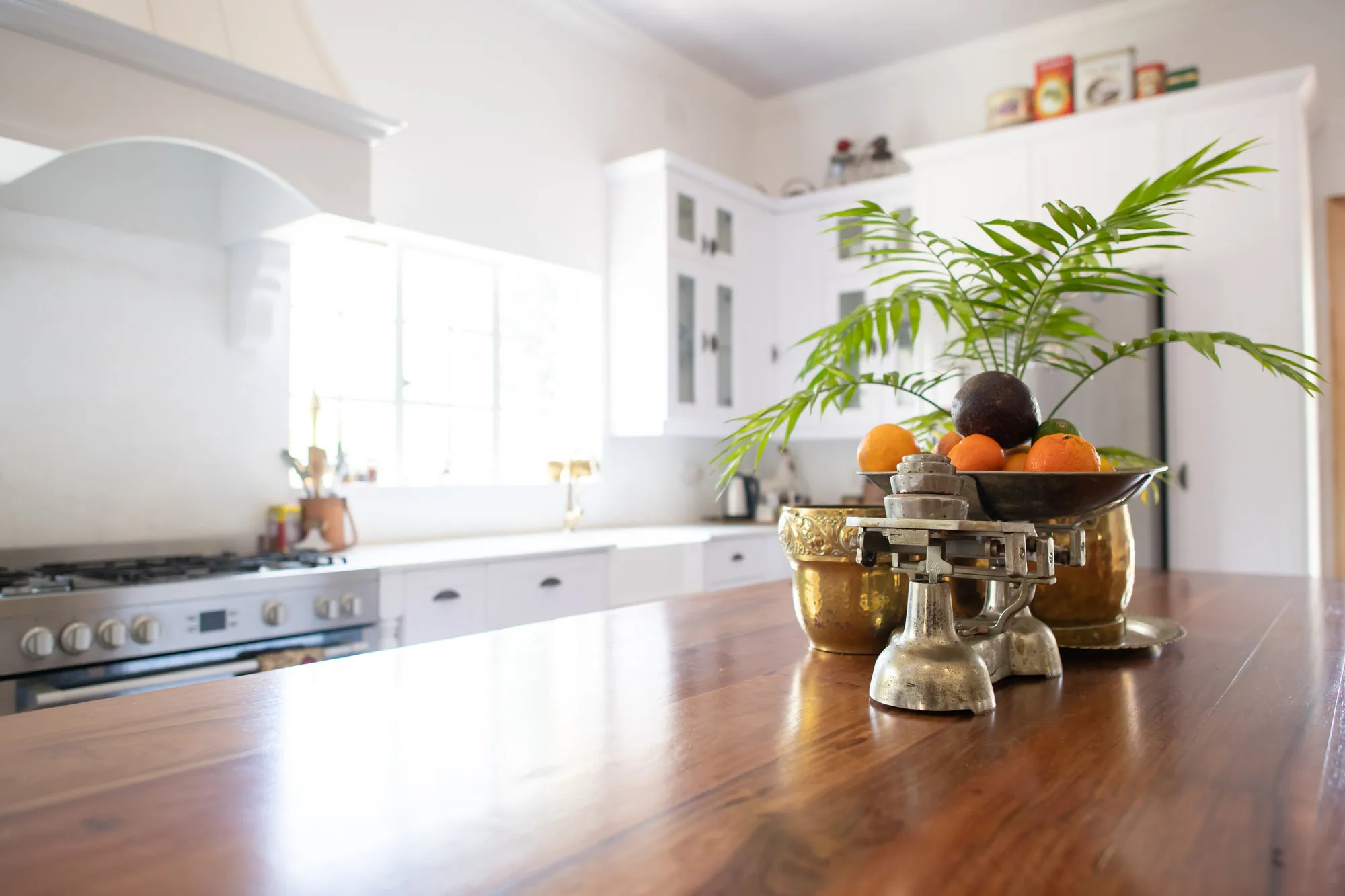 Timber island top with brass bowl and plant in a white painted kitchen